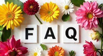 Die 5 meistgestellten Fragen (FAQ) zu Blumenfrisch