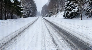 Die 6 häufigsten Fehler bei der Rasenpflege im Januar