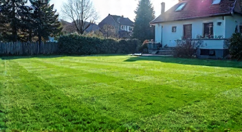 Die besten 8 Tipps bei der Rasenpflege im Januar