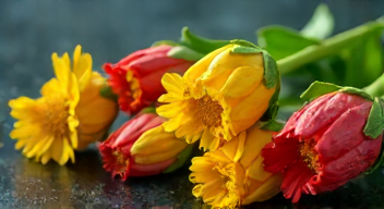 Die wissenschaftliche Perspektive auf Blumenfrisch (2/10)