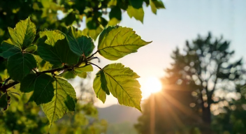 Erkennen des neuen Austriebs (7/10)