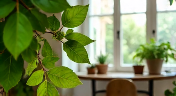 Soziale Aspekte der Pflanzenpflege (6/10)