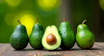 Die 5 meistgestellten Fragen (FAQ) zu Avocado ziehen