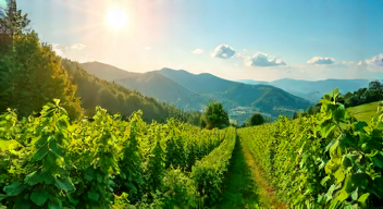 Die Philosophie des Anbaus: Geduld und Wachstum (3/10)