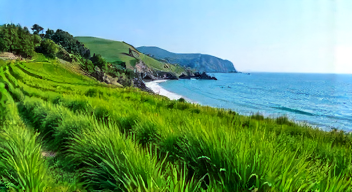 Kulturelle Aspekte beim Anbau von Meerkohl (10/10)