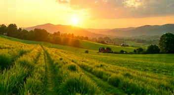 Ökonomische Perspektiven: Der Wert des Bodens (8/10)