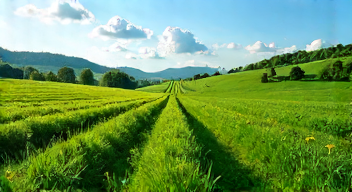 Politische Dimensionen des Anbaus: Nachhaltigkeit und Verantwortung (7/10)