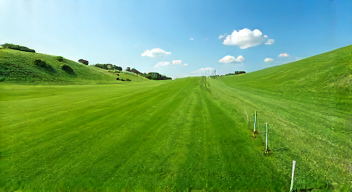 Nach dem Sanden: Rasenpflege nicht vergessen (8/10)